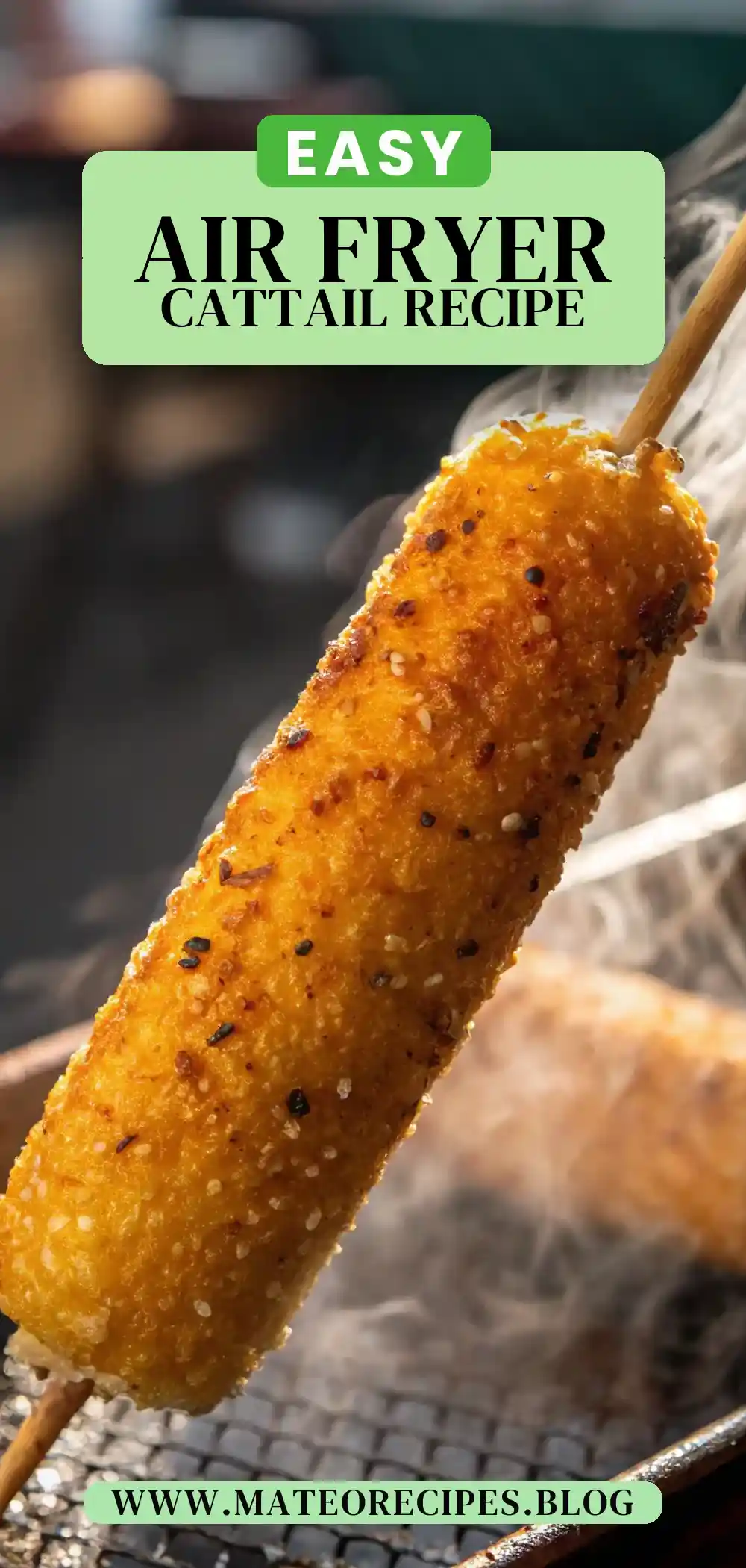 Pinterest pin 2 (Design 2) for Air Fryer Cattail