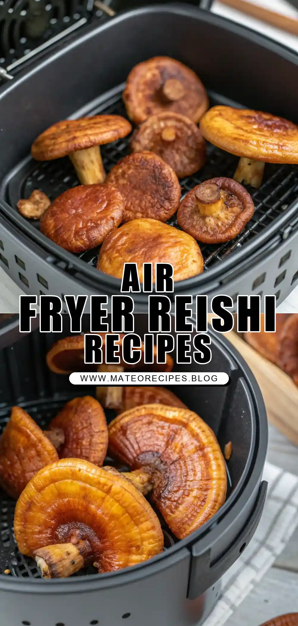 Pinterest pin 1 (Design 1) for Air Fryer Reishi