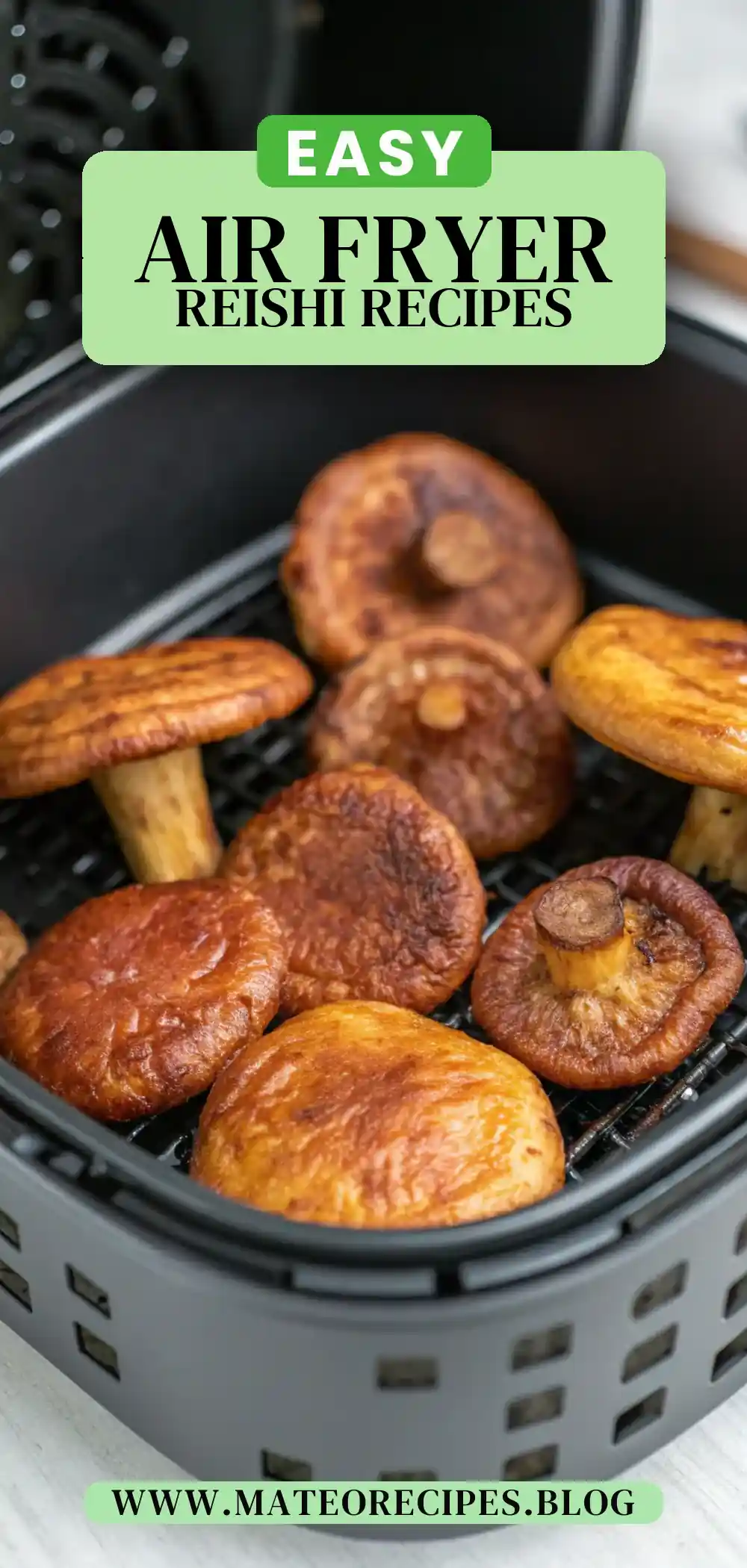 Pinterest pin 2 (Design 2) for Air Fryer Reishi
