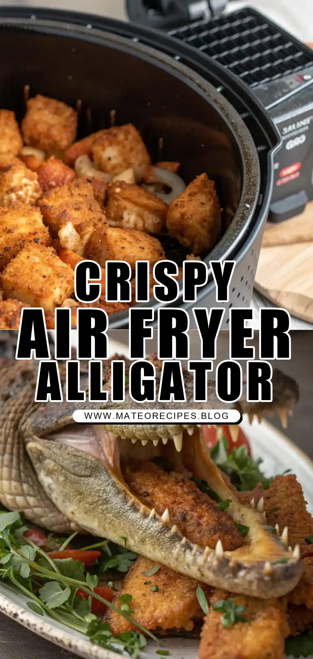 Pinterest pin 1 (Design 1) for Air Fryer Alligator
