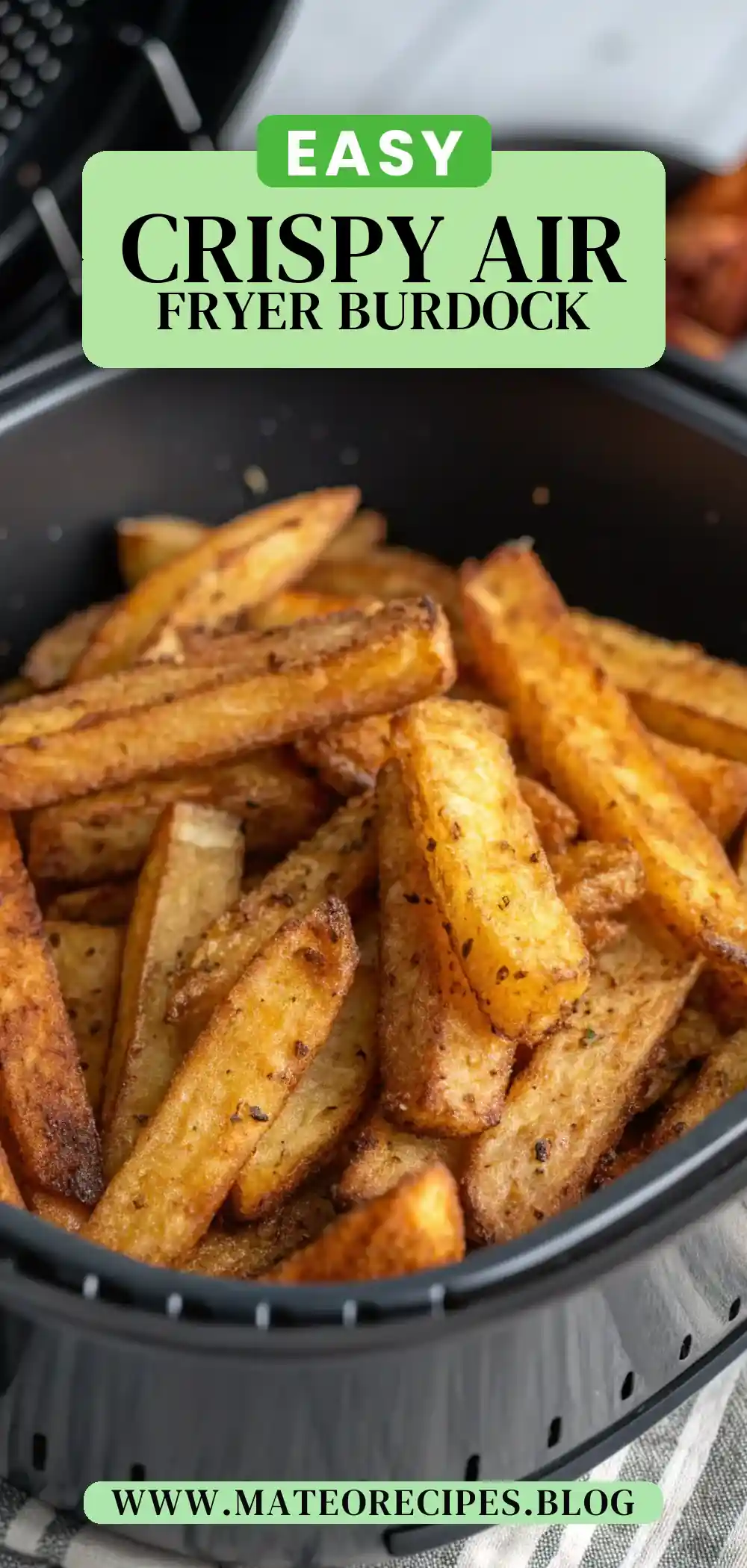 Pinterest pin 2 (Design 2) for Air Fryer Burdock