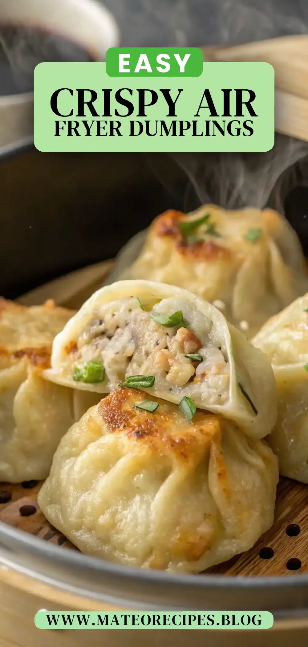 Pinterest pin 2 (Design 2) for Air Fryer Chicken Dumplings