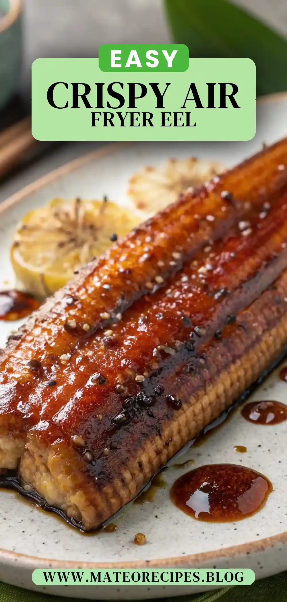 Pinterest pin 2 (Design 2) for Air Fryer Eel