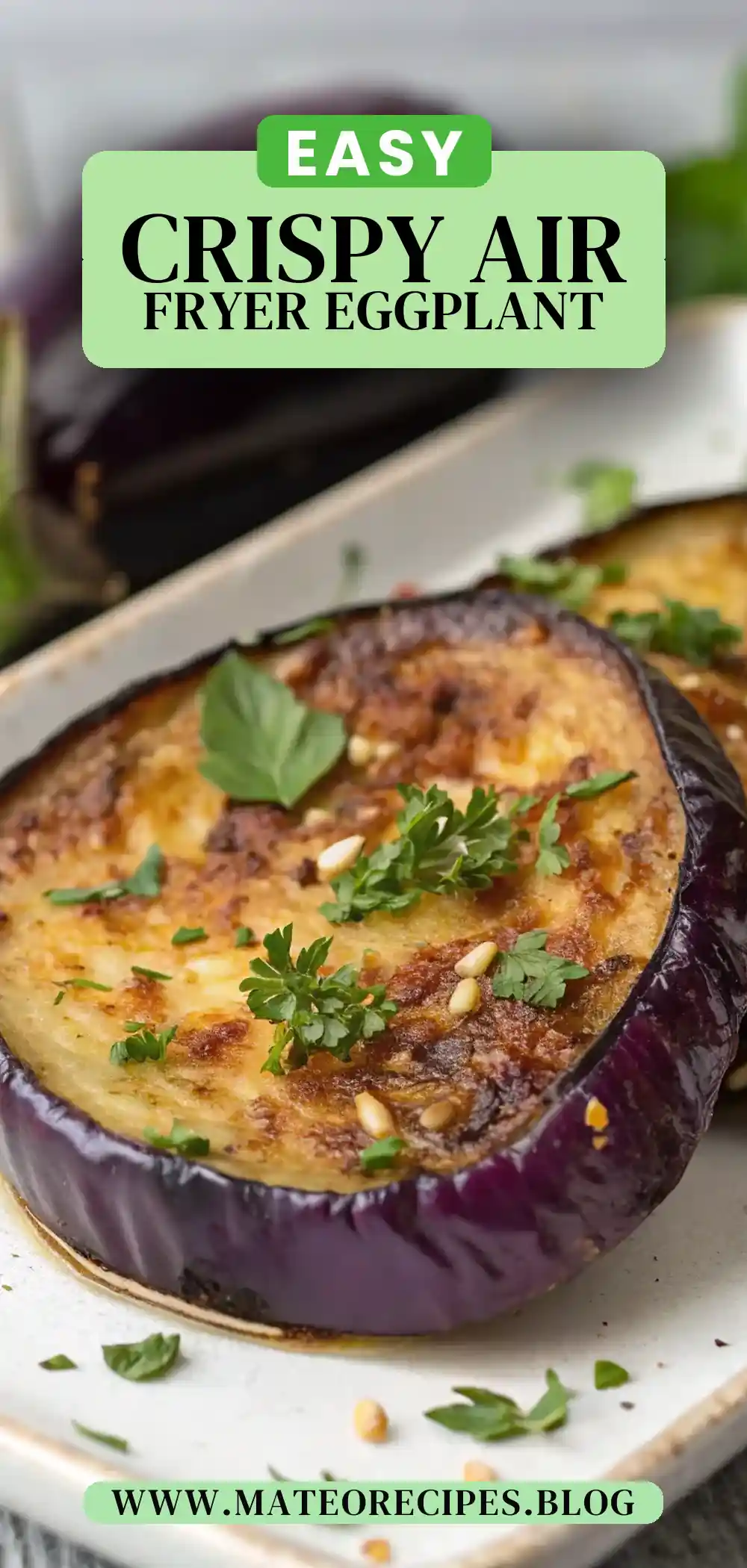 Pinterest pin 2 (Design 2) for Air Fryer Eggplant