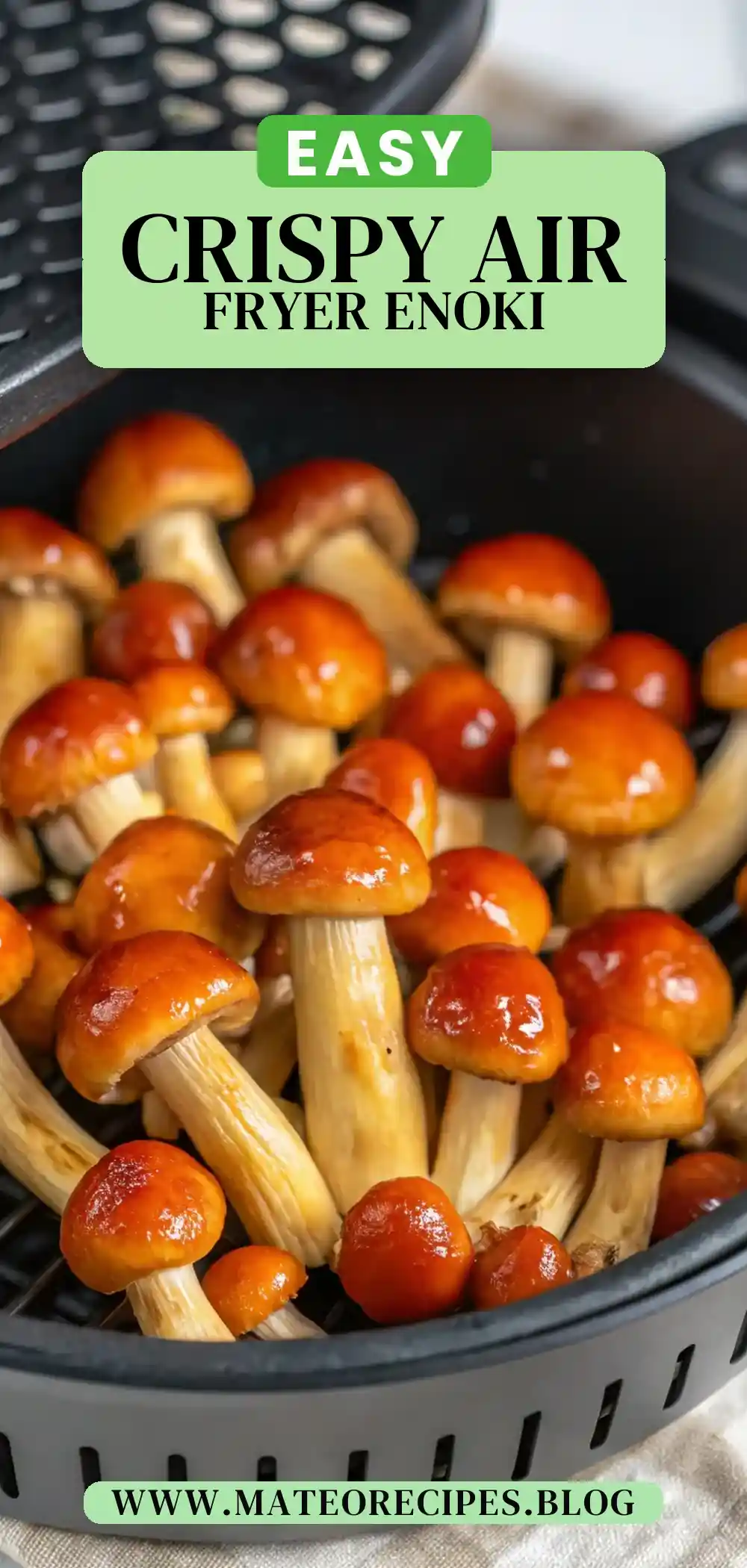 Pinterest pin 2 (Design 2) for Air Fryer Enoki