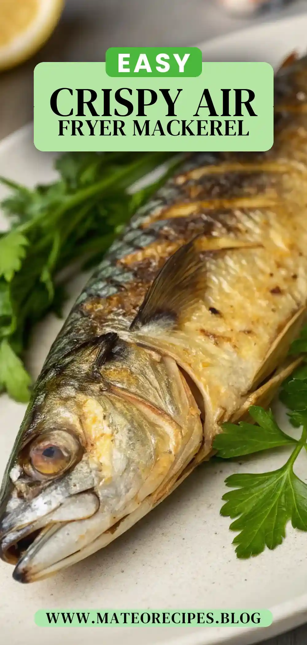 Pinterest pin 2 (Design 2) for Air Fryer Mackerel