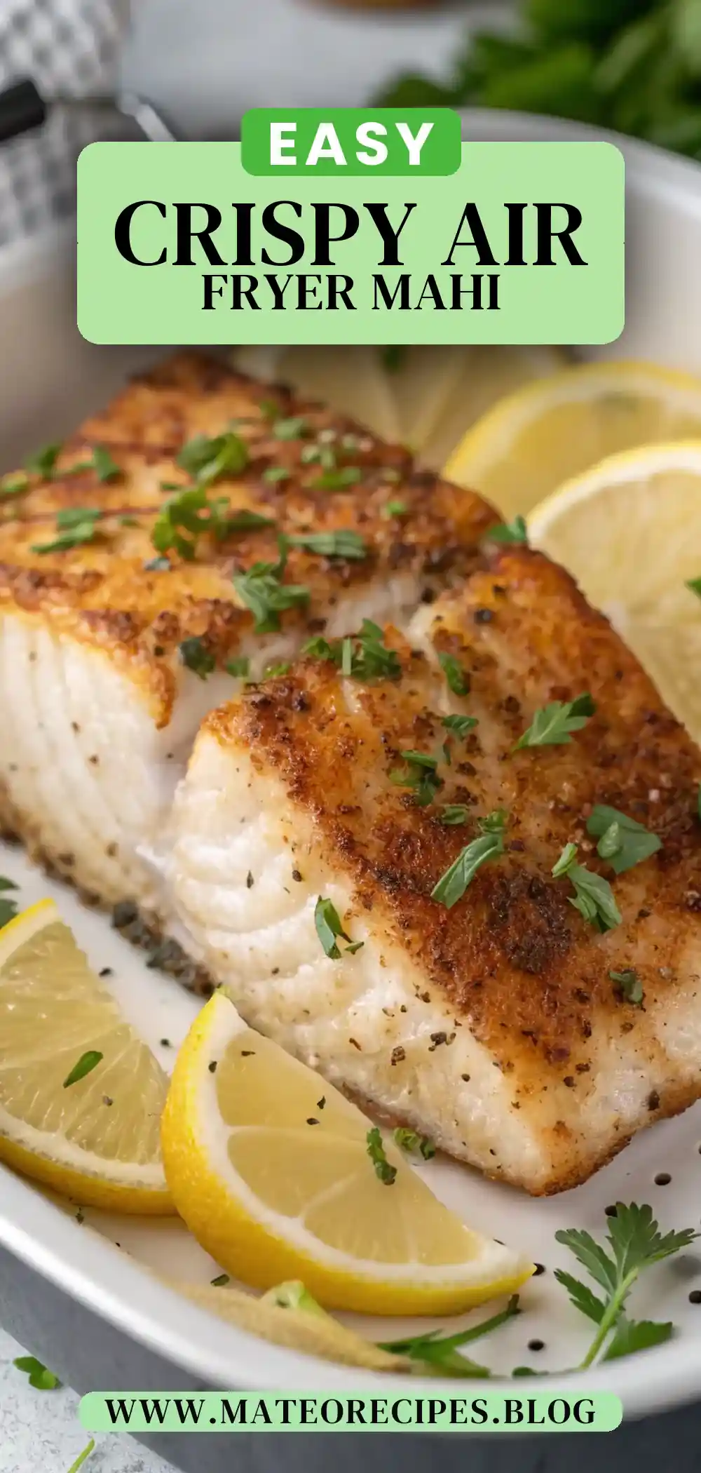 Pinterest pin 2 (Design 2) for Air Fryer Mahi Mahi