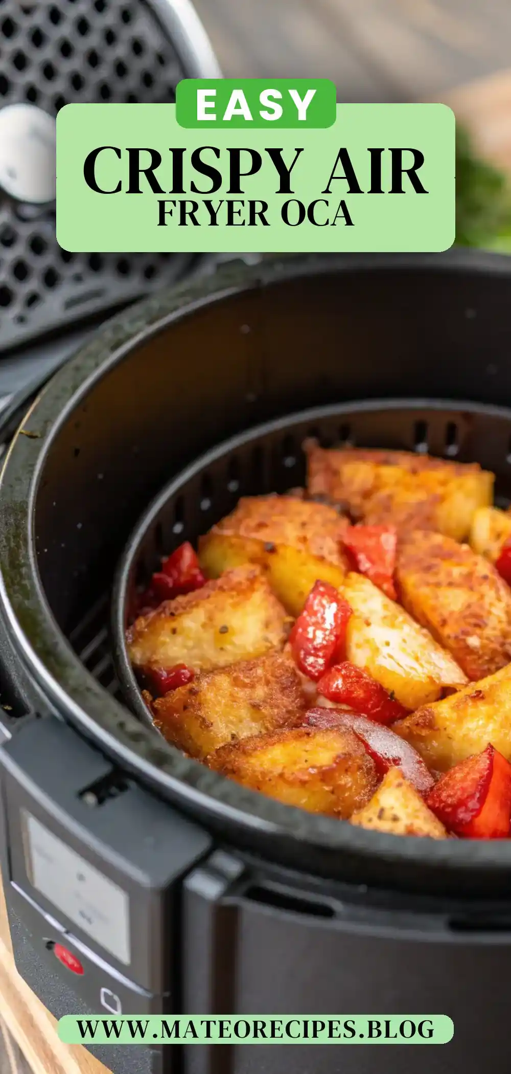 Pinterest pin 2 (Design 2) for Air Fryer Oca