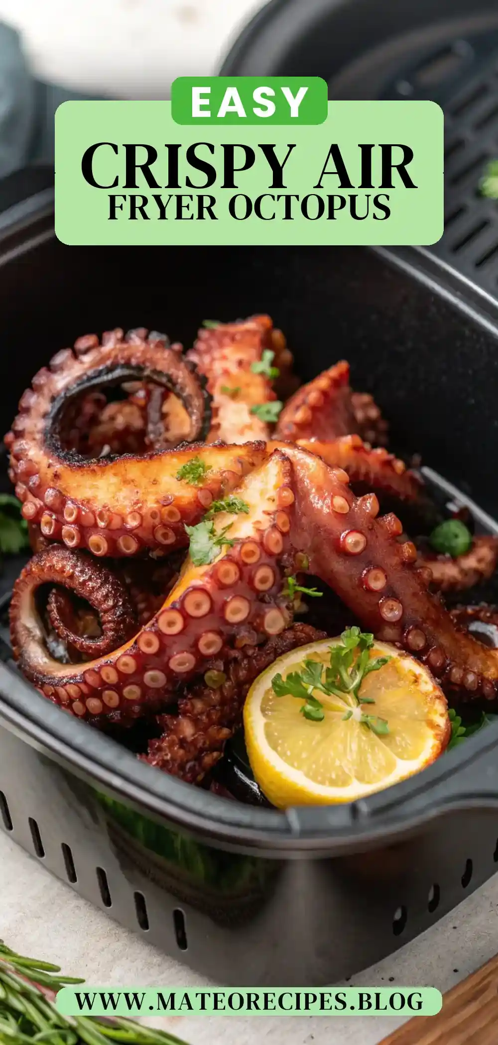 Pinterest pin 2 (Design 2) for Air Fryer Octopus