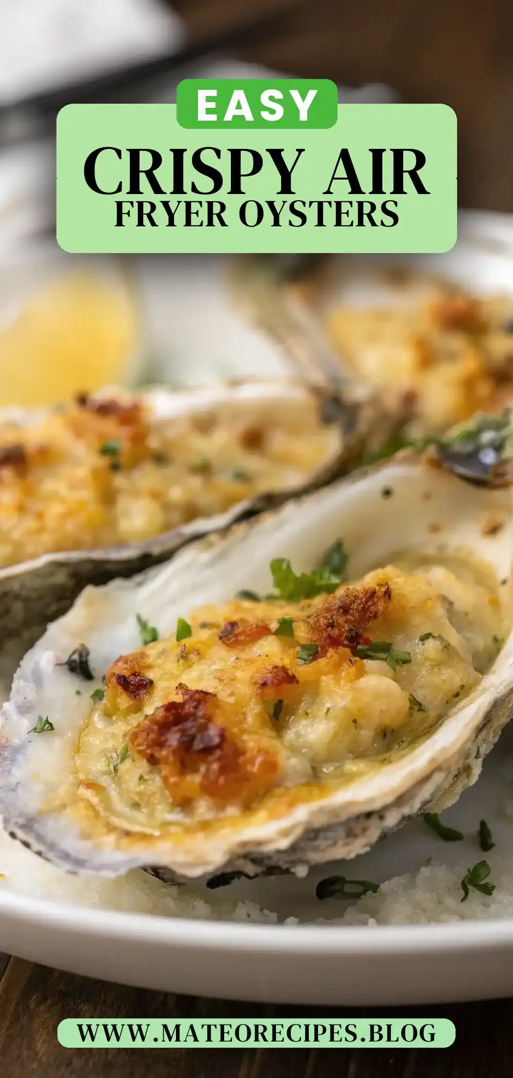 Pinterest pin 2 (Design 2) for Air Fryer Oysters