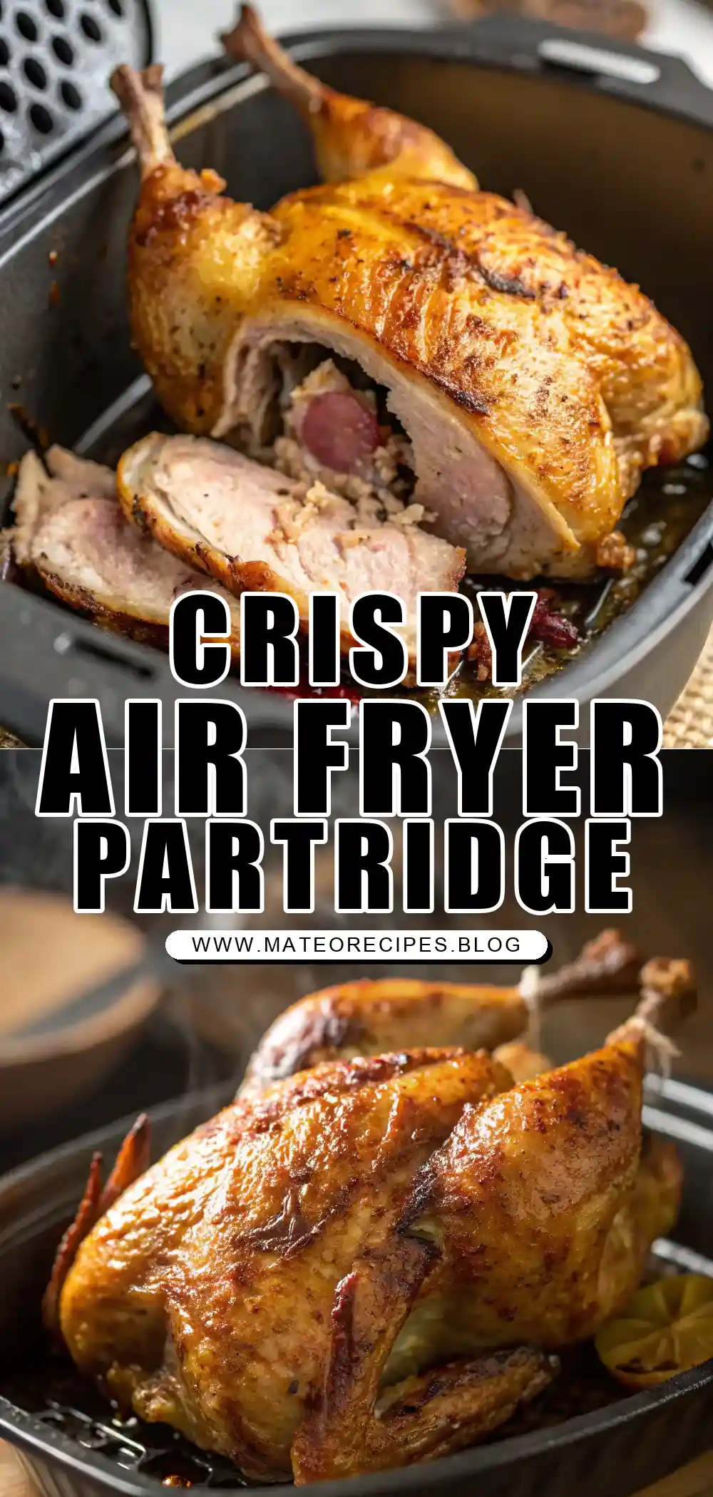 Pinterest pin 1 (Design 1) for Air Fryer Partridge