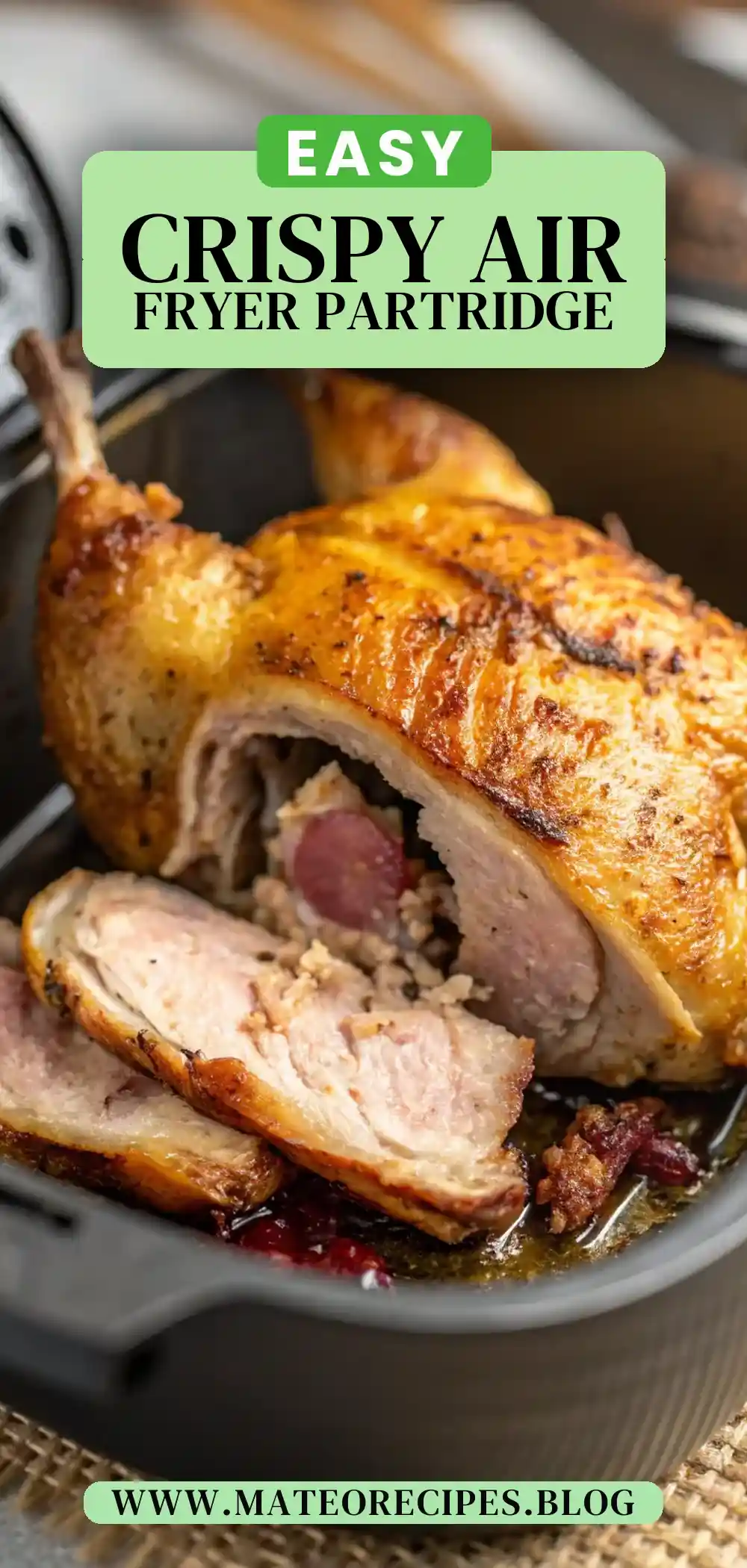 Pinterest pin 2 (Design 2) for Air Fryer Partridge