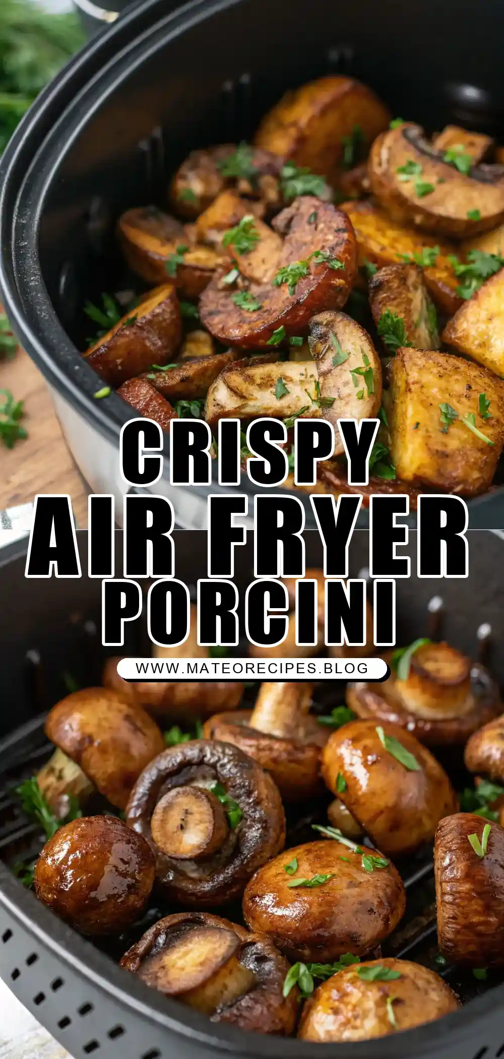Pinterest pin 1 (Design 1) for Air Fryer Porcini
