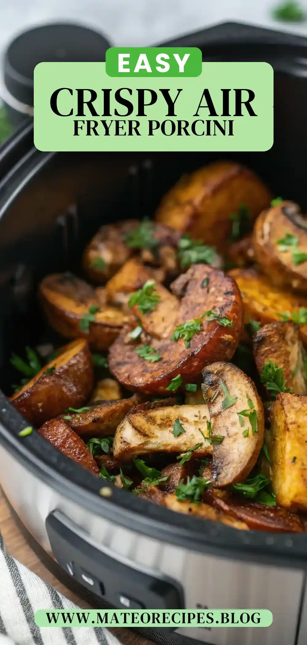 Pinterest pin 2 (Design 2) for Air Fryer Porcini