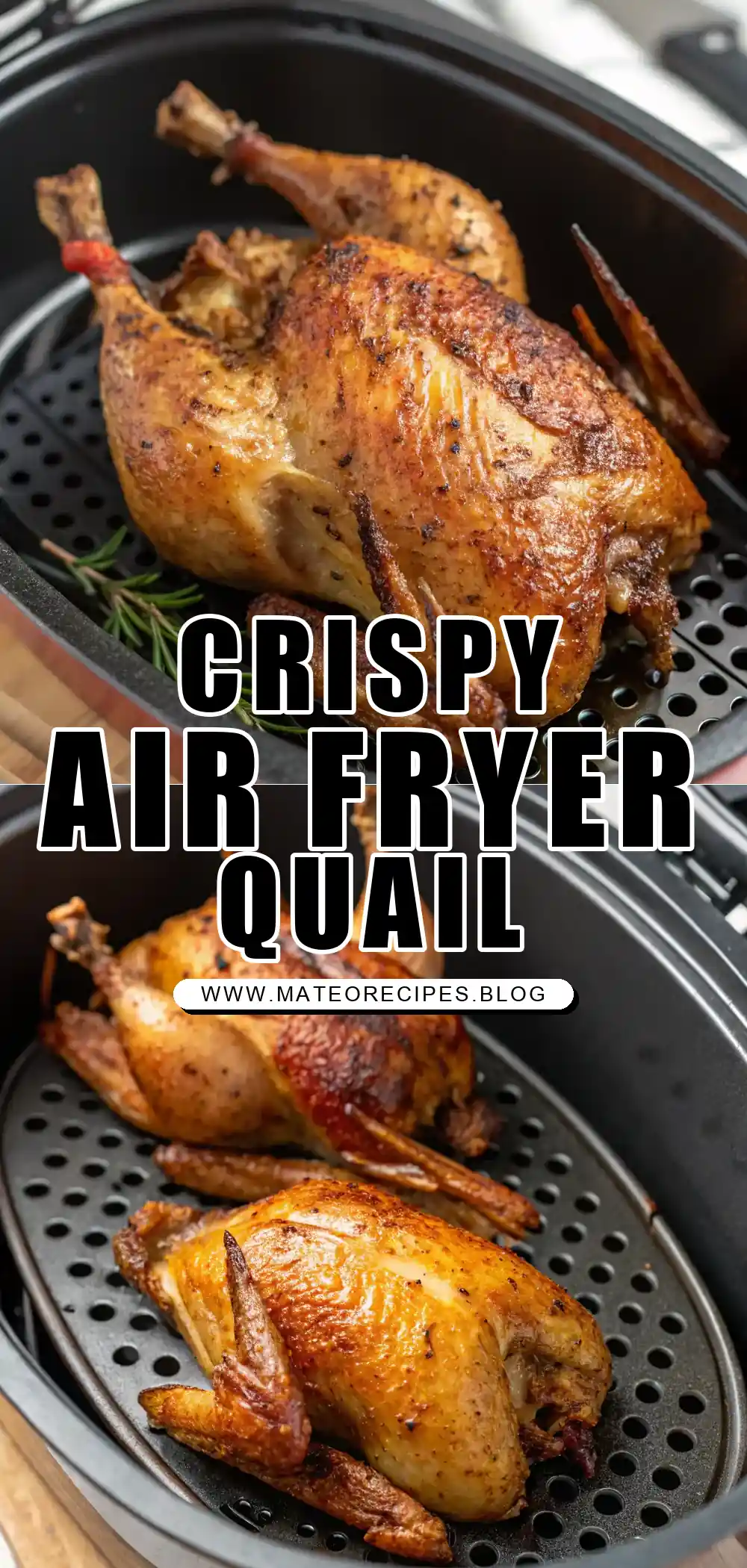 Pinterest pin 1 (Design 1) for Air Fryer Quail