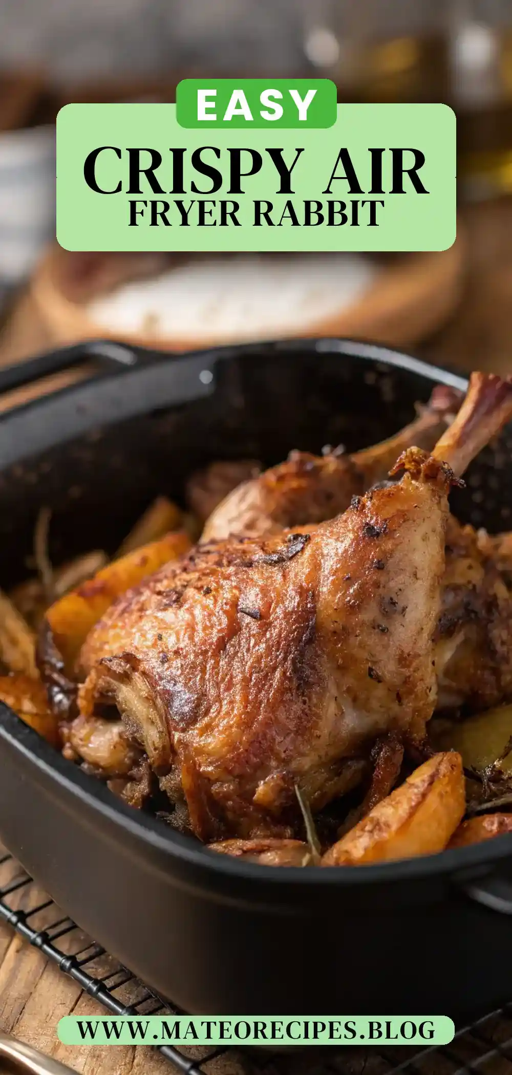 Pinterest pin 2 (Design 2) for Air Fryer Rabbit