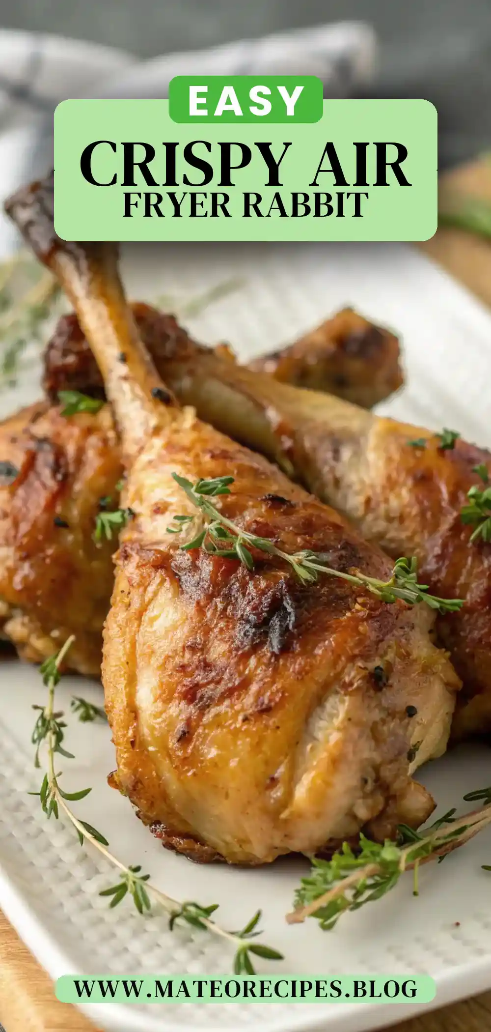 Pinterest pin 2 (Design 2) for Air Fryer Rabbit Legs