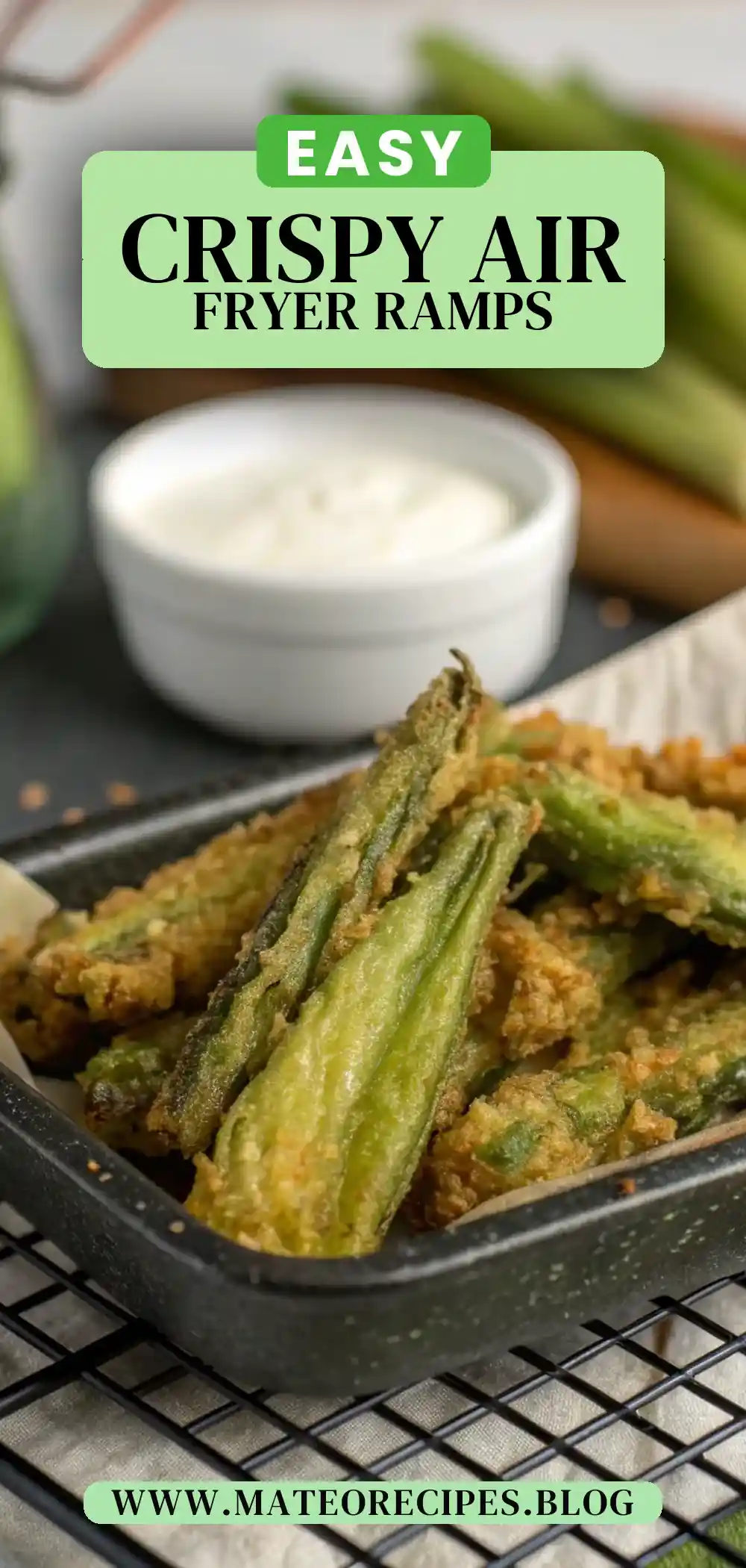Pinterest pin 2 (Design 2) for Air Fryer Ramps