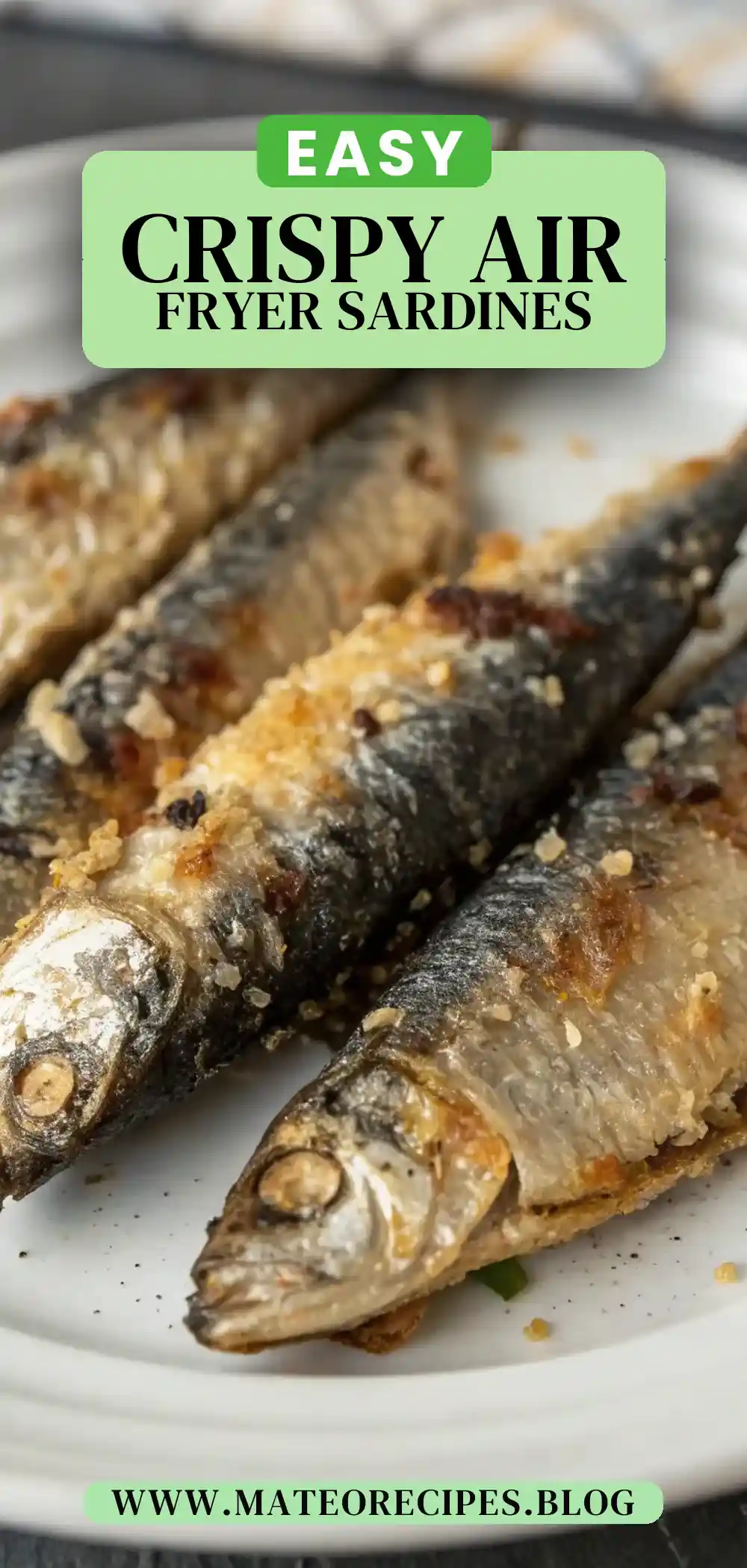Pinterest pin 2 (Design 2) for Air Fryer Sardines