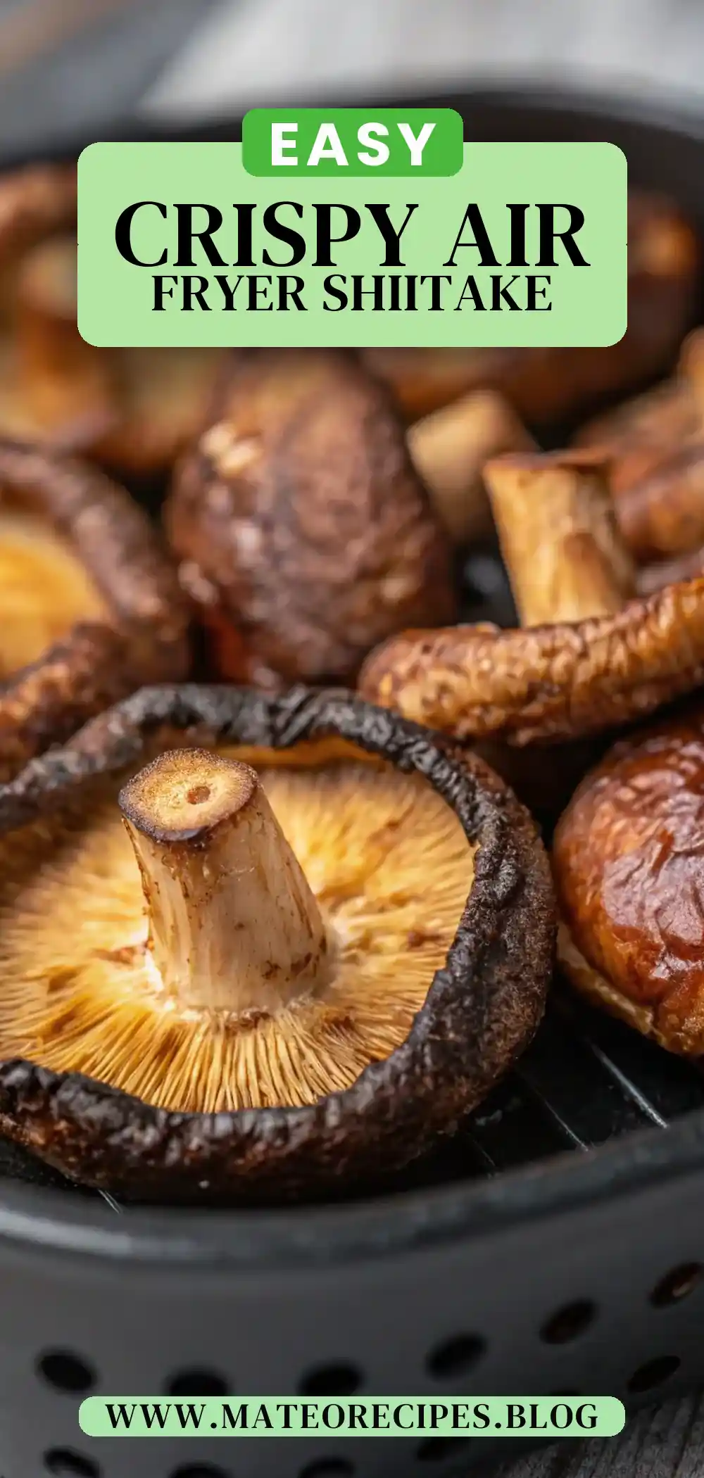 Pinterest pin 2 (Design 2) for Air Fryer Shiitake