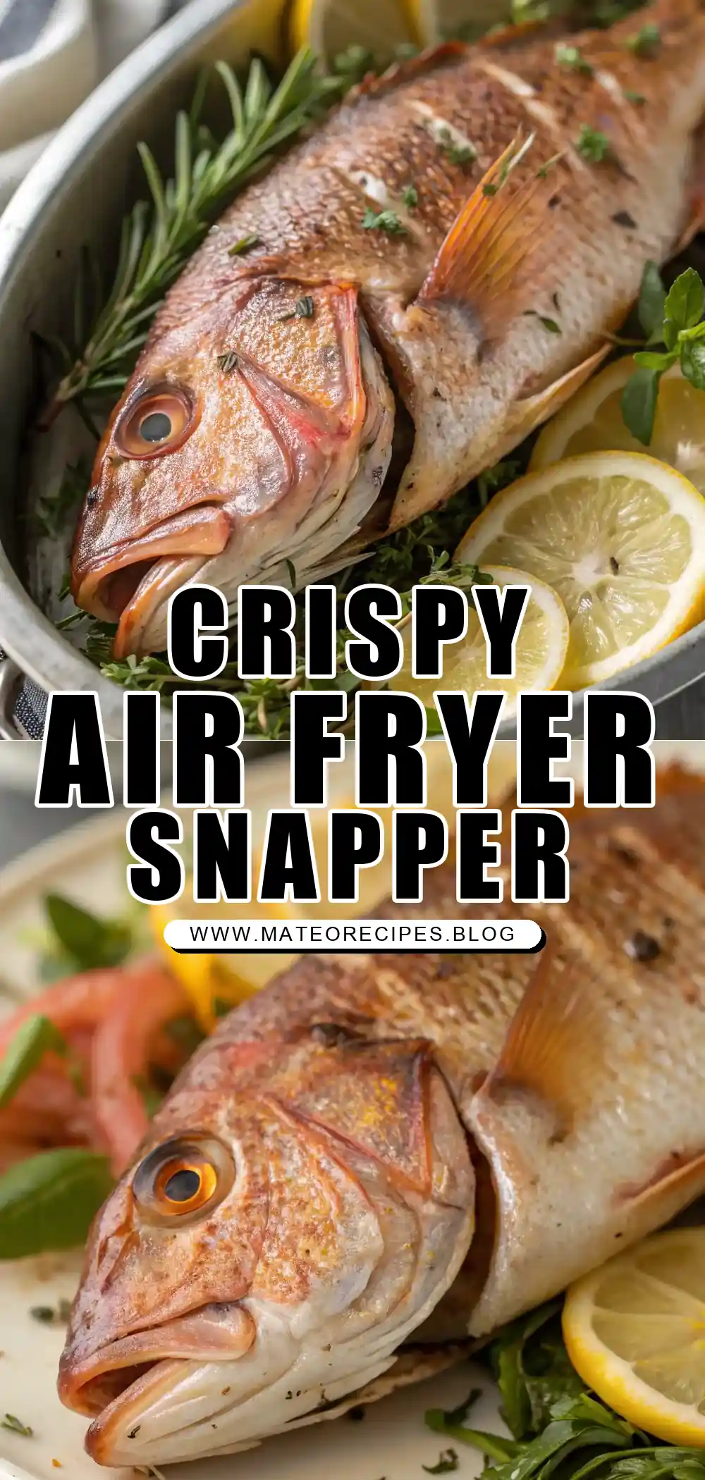 Pinterest pin 1 (Design 1) for Air Fryer Snapper