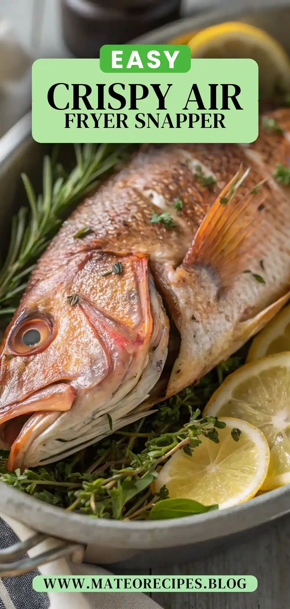 Pinterest pin 2 (Design 2) for Air Fryer Snapper