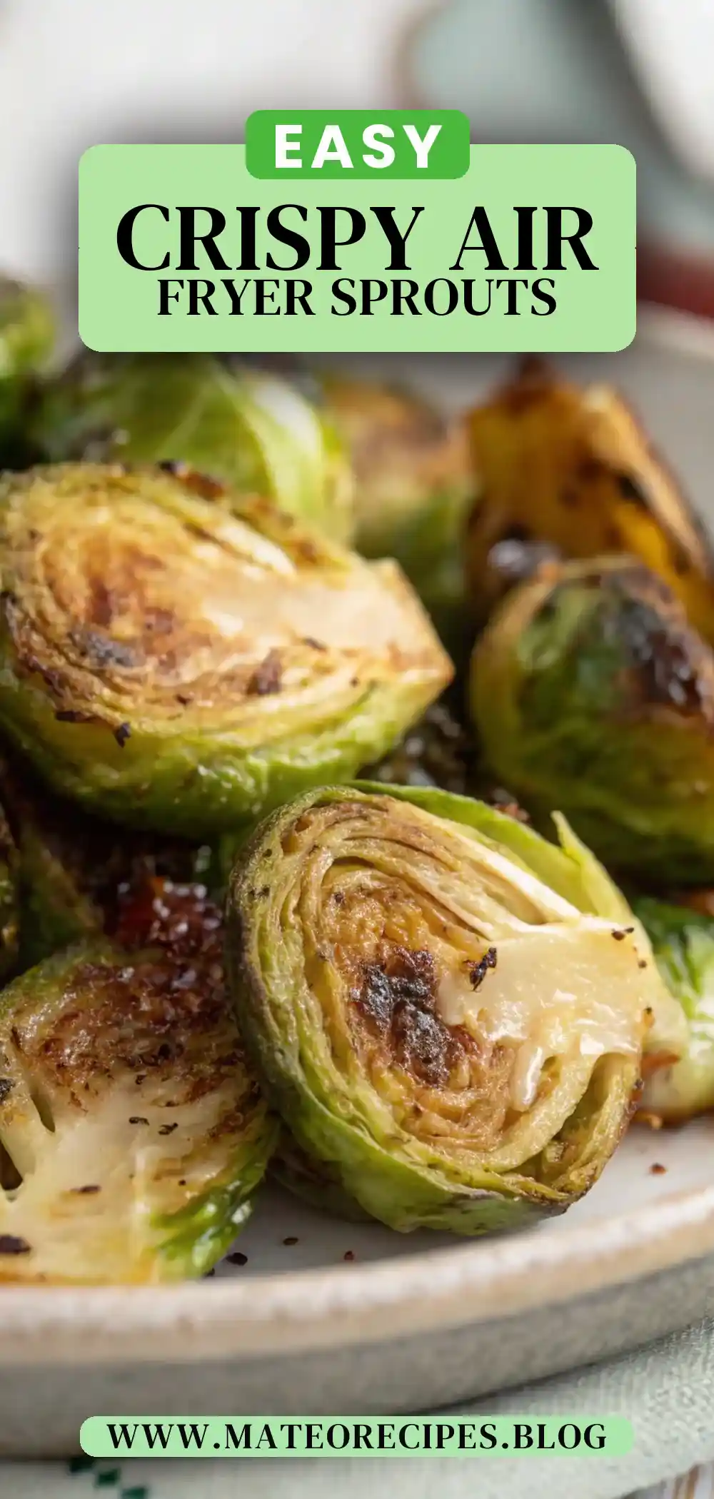 Pinterest pin 2 (Design 2) for Air Fryer Brussels Sprouts