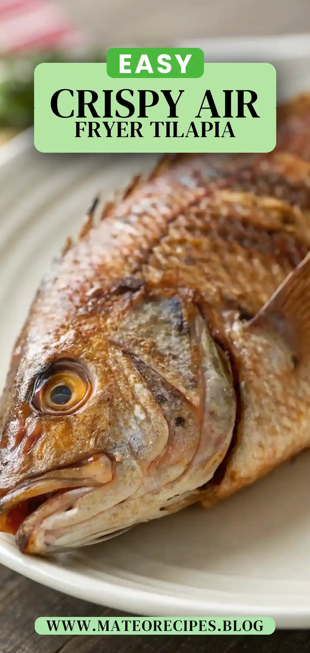 Pinterest pin 2 (Design 2) for Air Fryer Tilapia