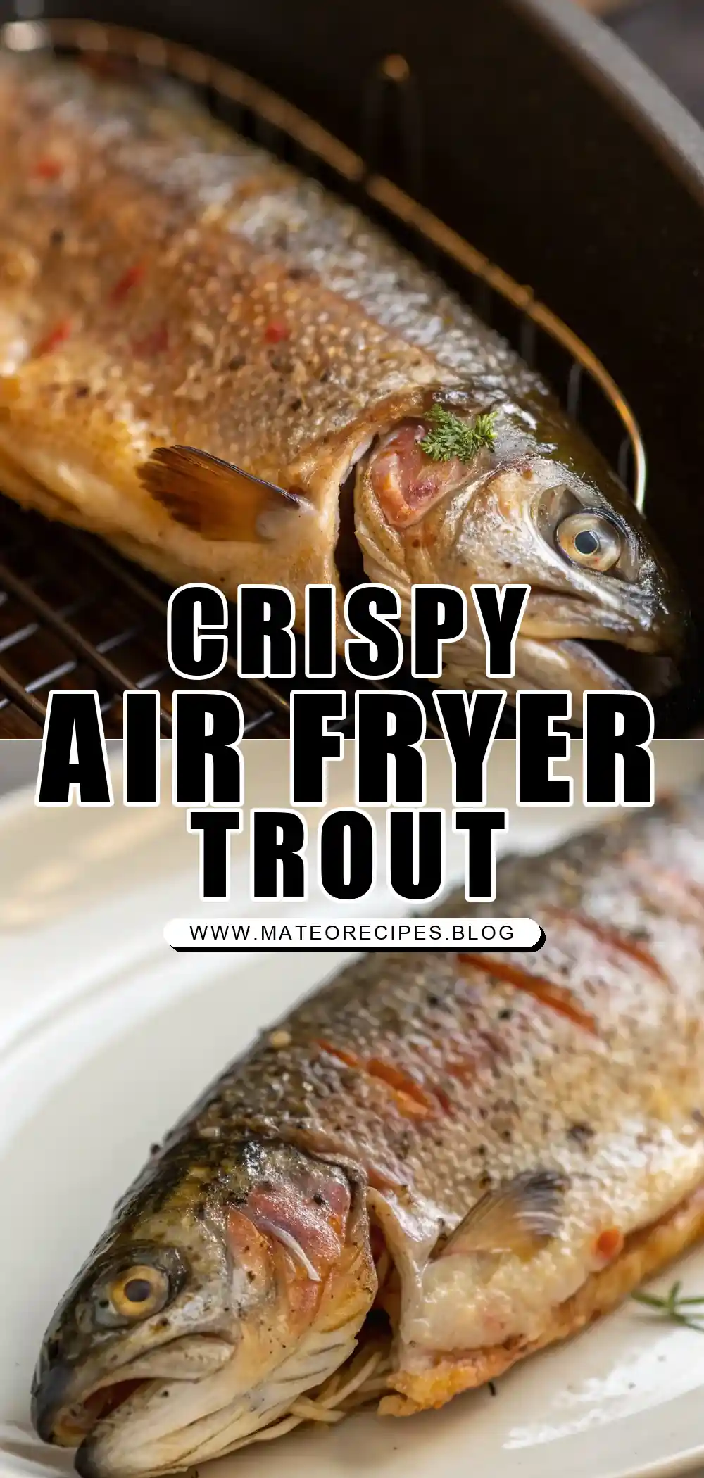 Pinterest pin 1 (Design 1) for Air Fryer Trout