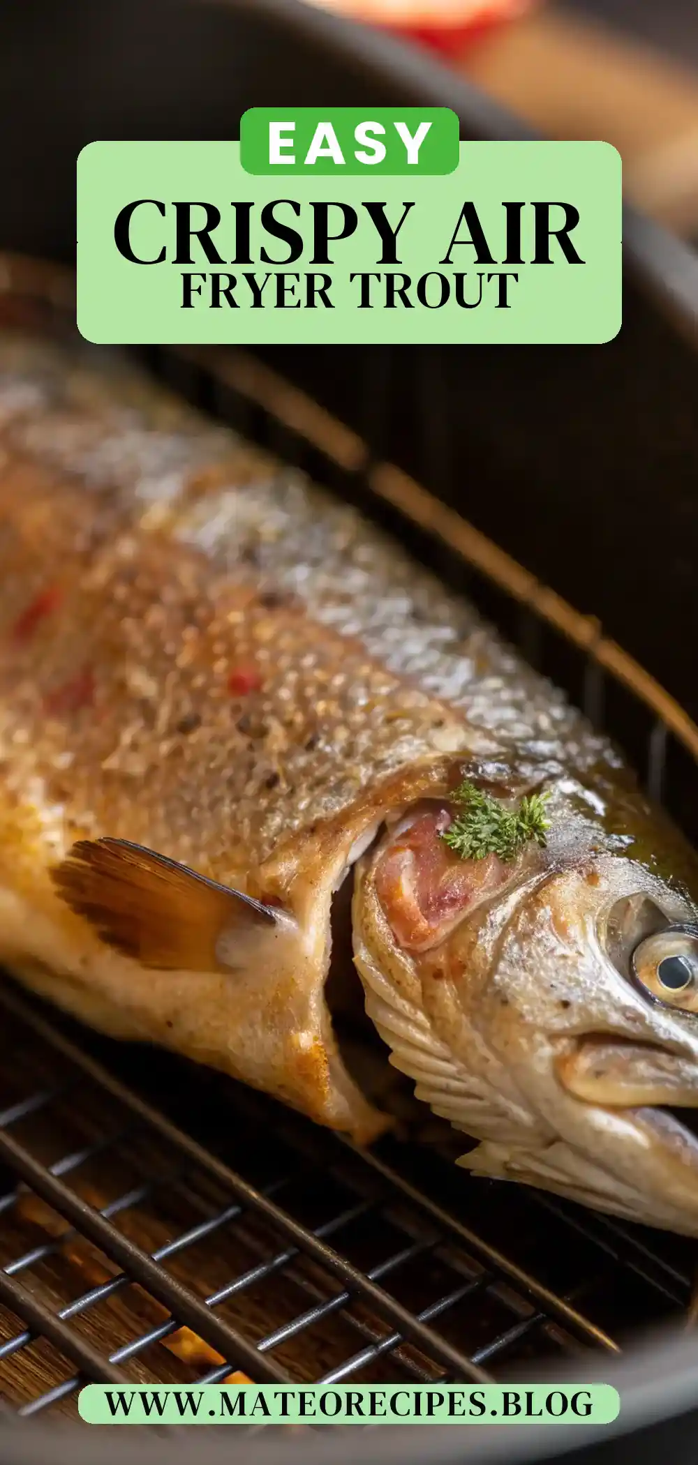 Pinterest pin 2 (Design 2) for Air Fryer Trout