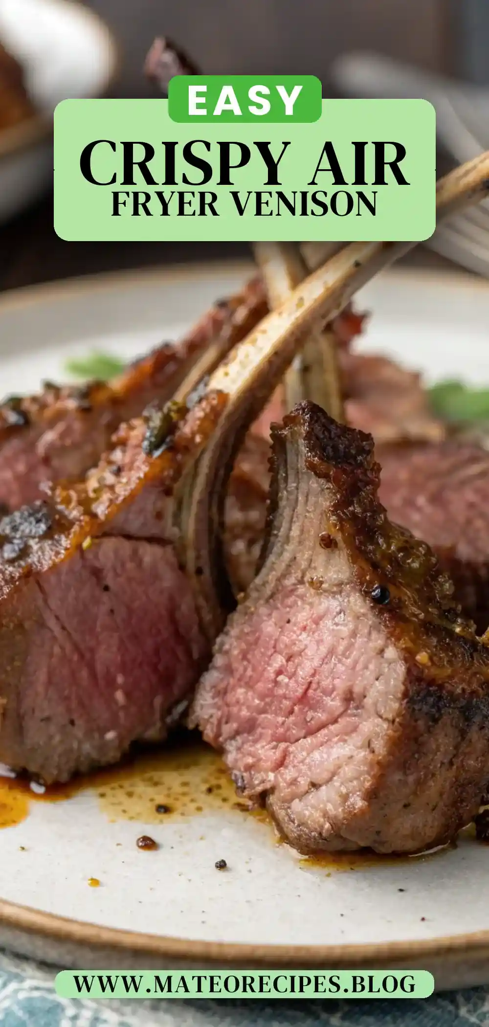 Pinterest pin 2 (Design 2) for Air Fryer Venison Chops