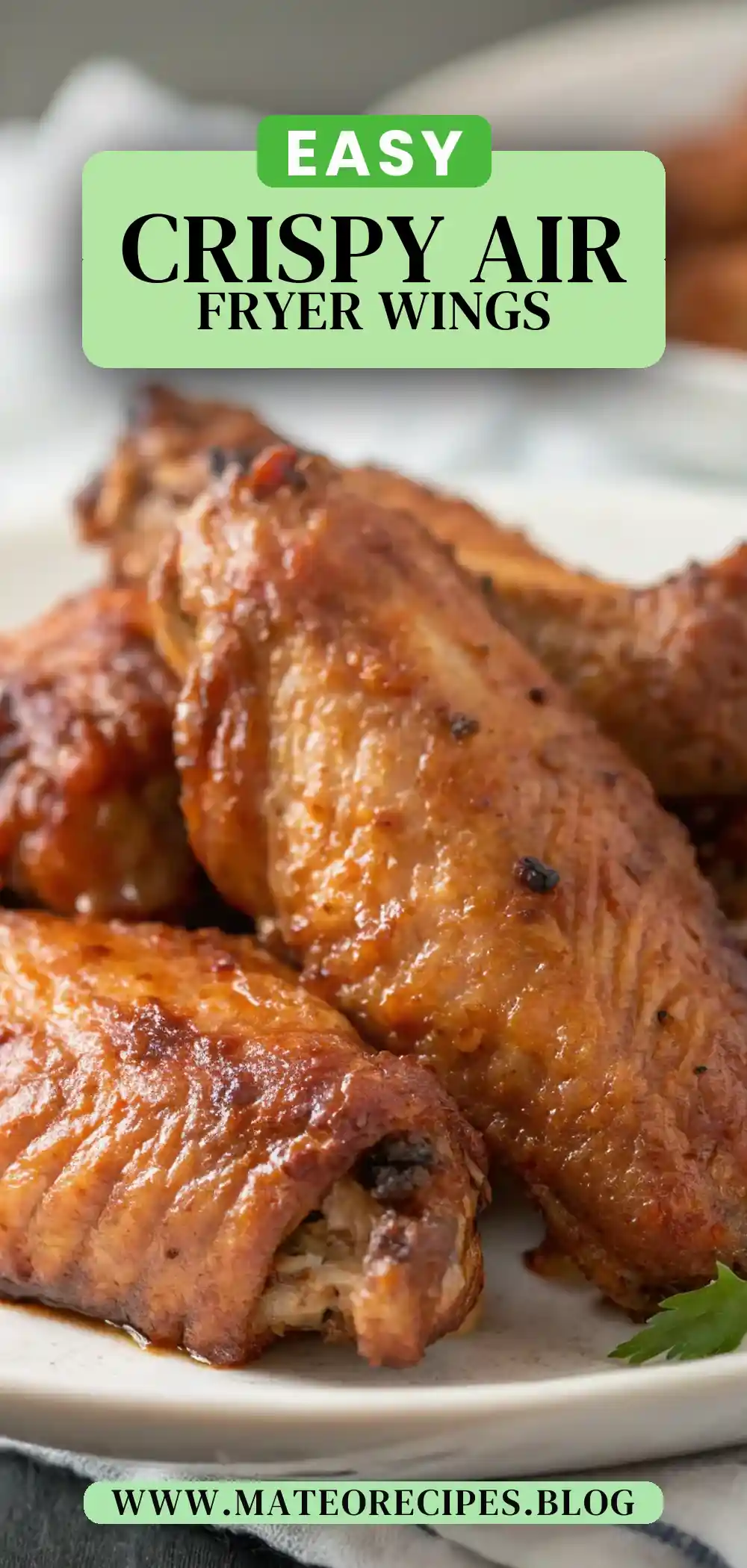 Pinterest pin 2 (Design 2) for Air Fryer Turkey Wings