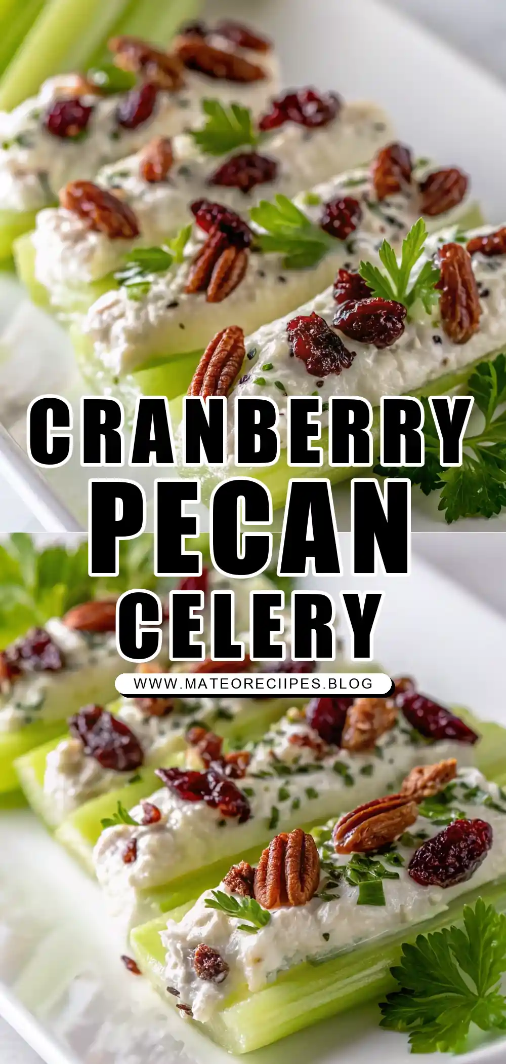 Pinterest pin 1 (Design 1) for Cranberry Pecan Cream Cheese Stuffed Celery