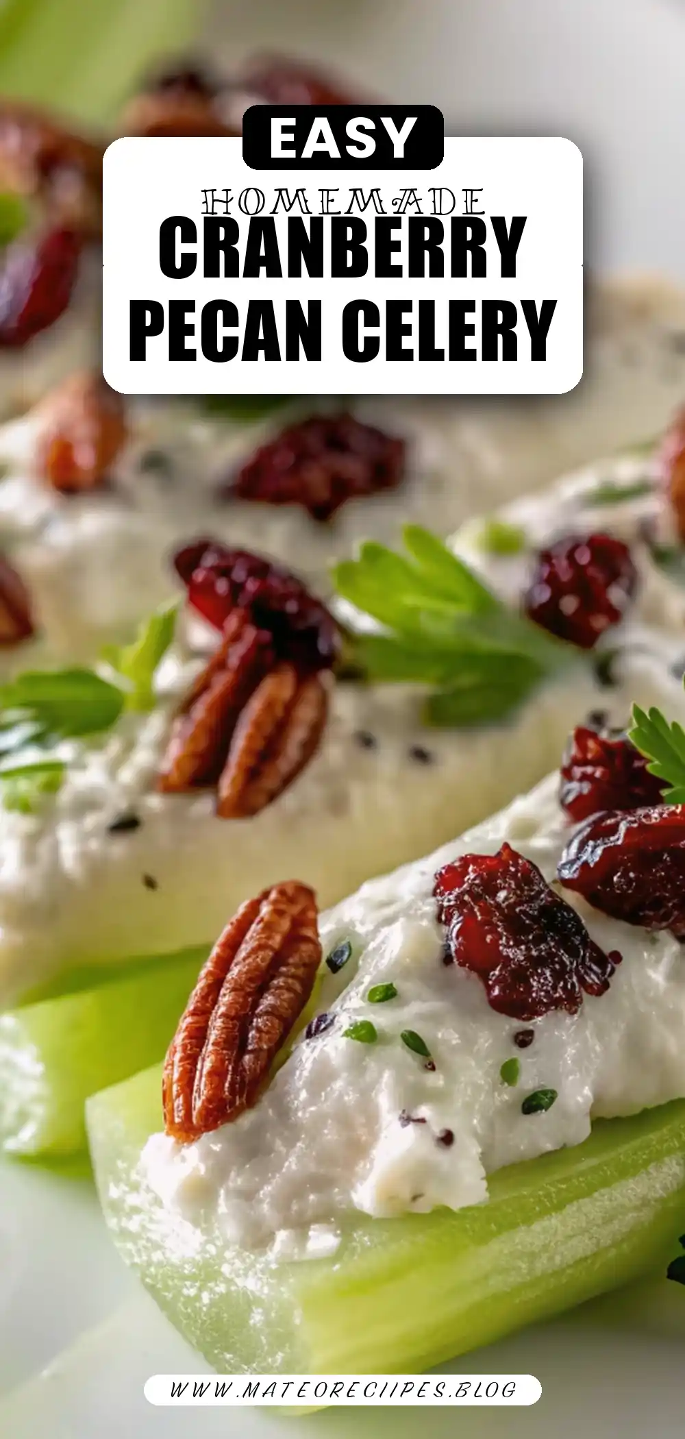 Pinterest pin 2 (Design 2) for Cranberry Pecan Cream Cheese Stuffed Celery