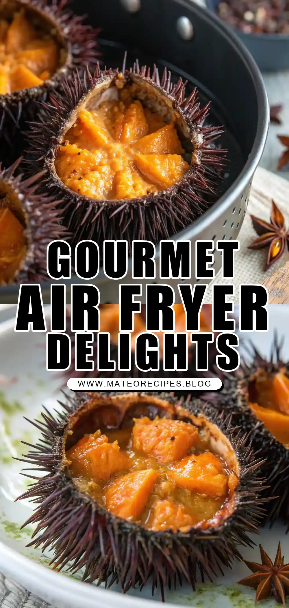 Pinterest pin 1 (Design 1) for Air Fryer Sea Urchin