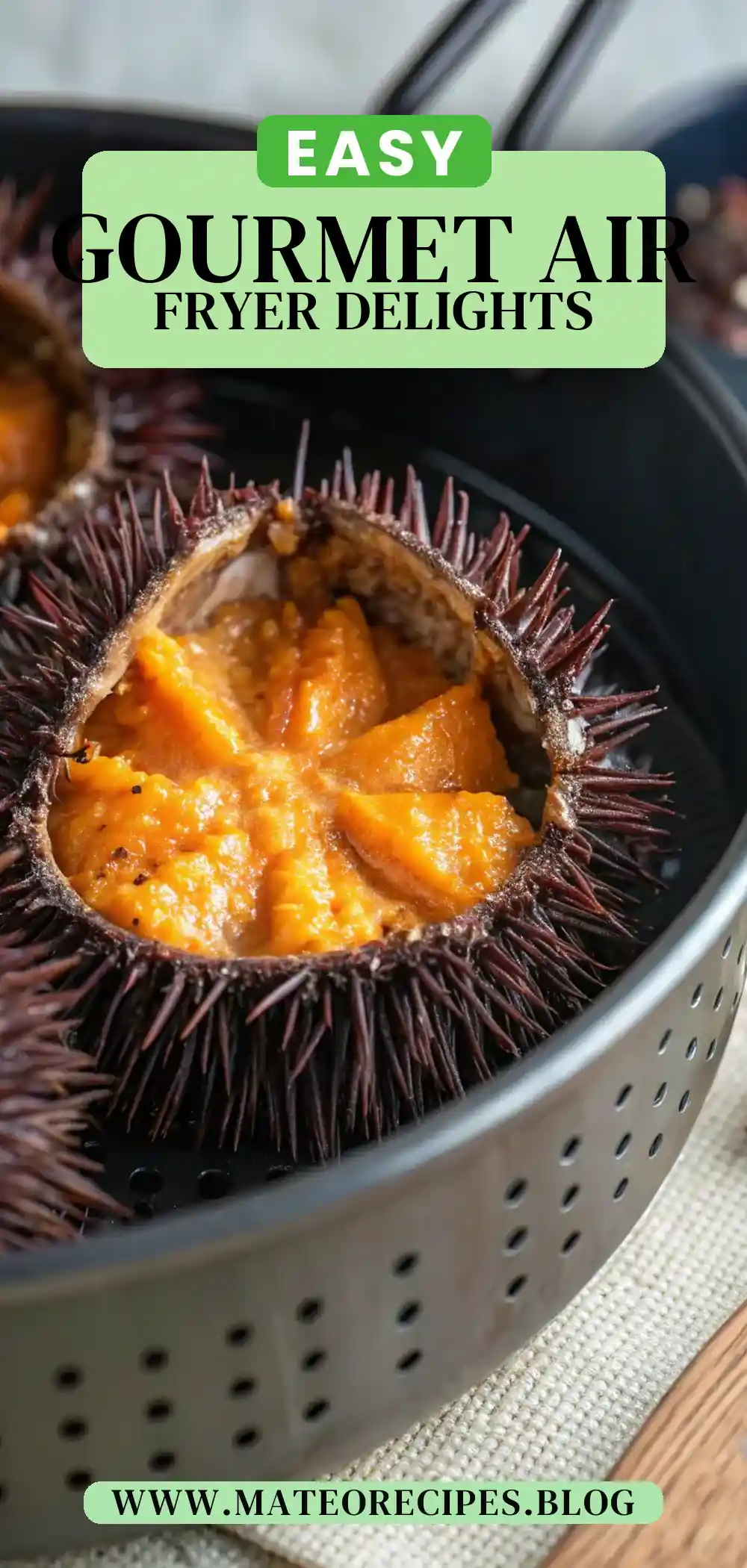 Pinterest pin 2 (Design 2) for Air Fryer Sea Urchin