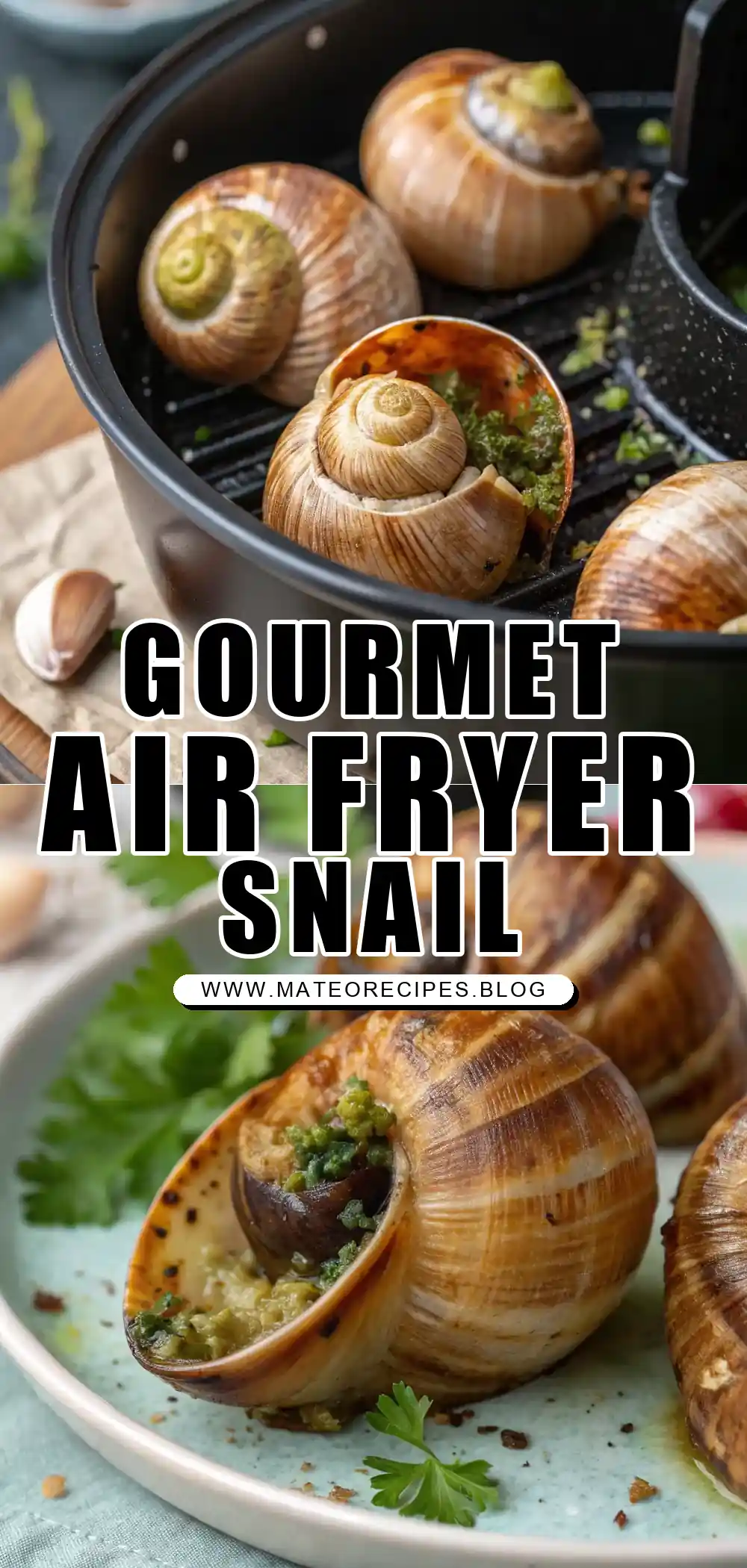 Pinterest pin 1 (Design 1) for Air Fryer Snail