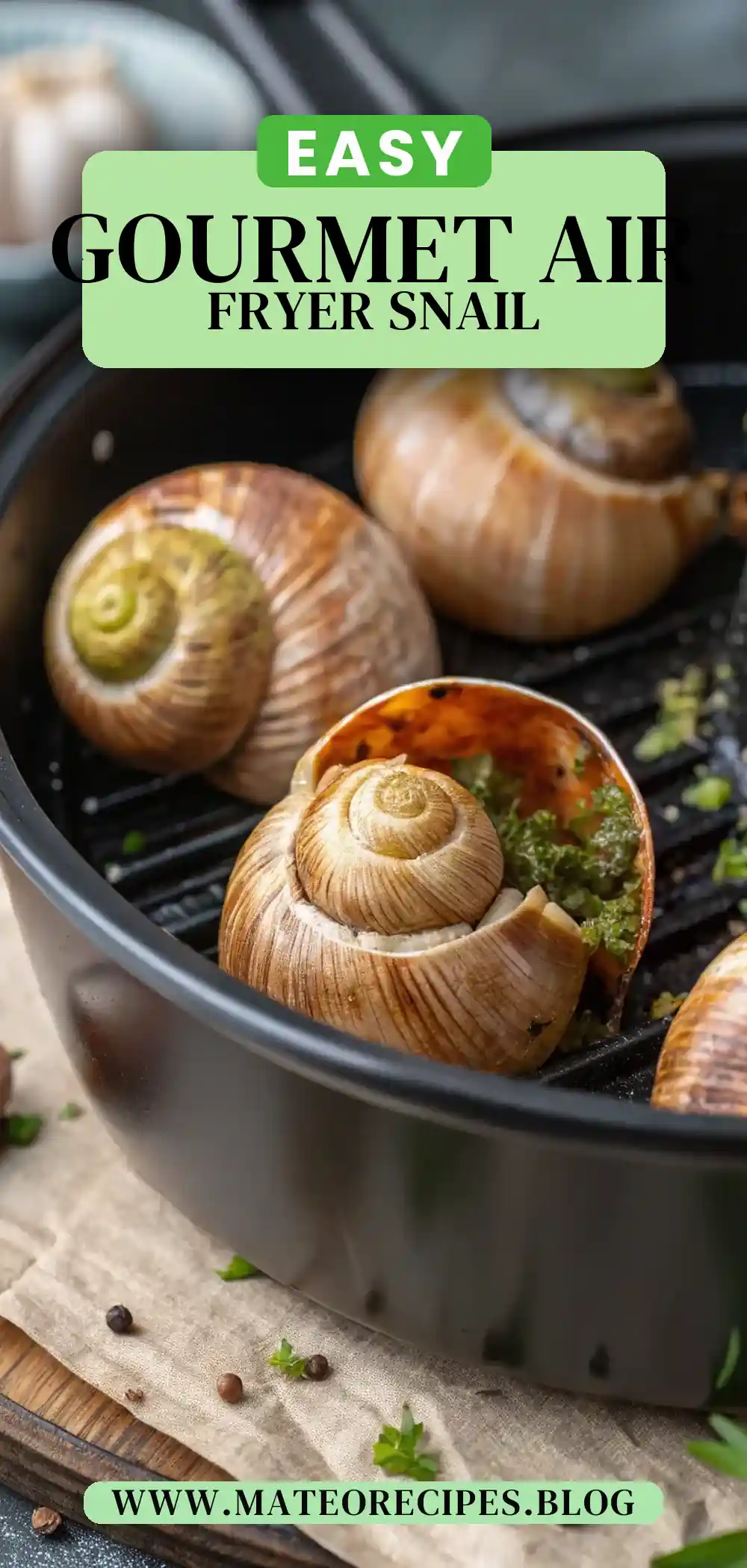 Pinterest pin 2 (Design 2) for Air Fryer Snail
