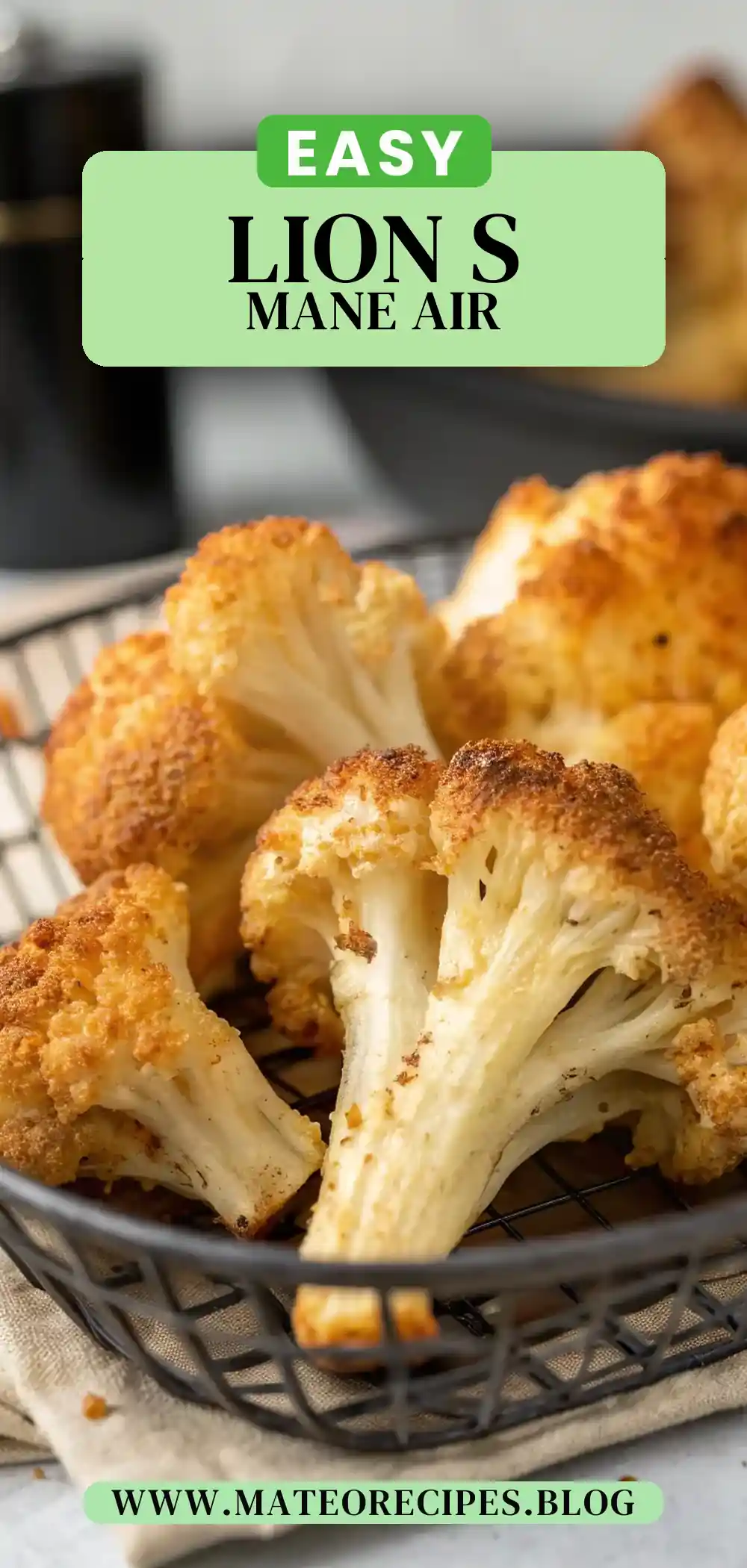 Pinterest pin 2 (Design 2) for Air Fryer Lion's Mane