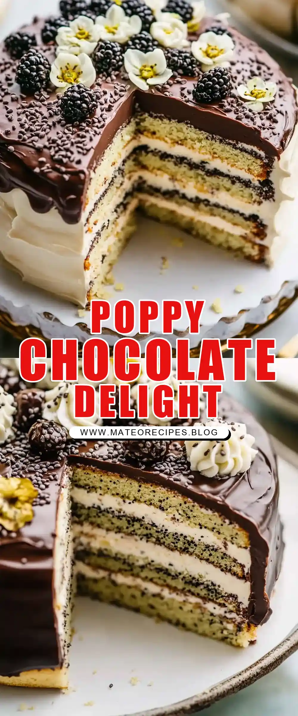 Pinterest pin (Design 1) for Poppy Seed Cake with Chocolate Ganache