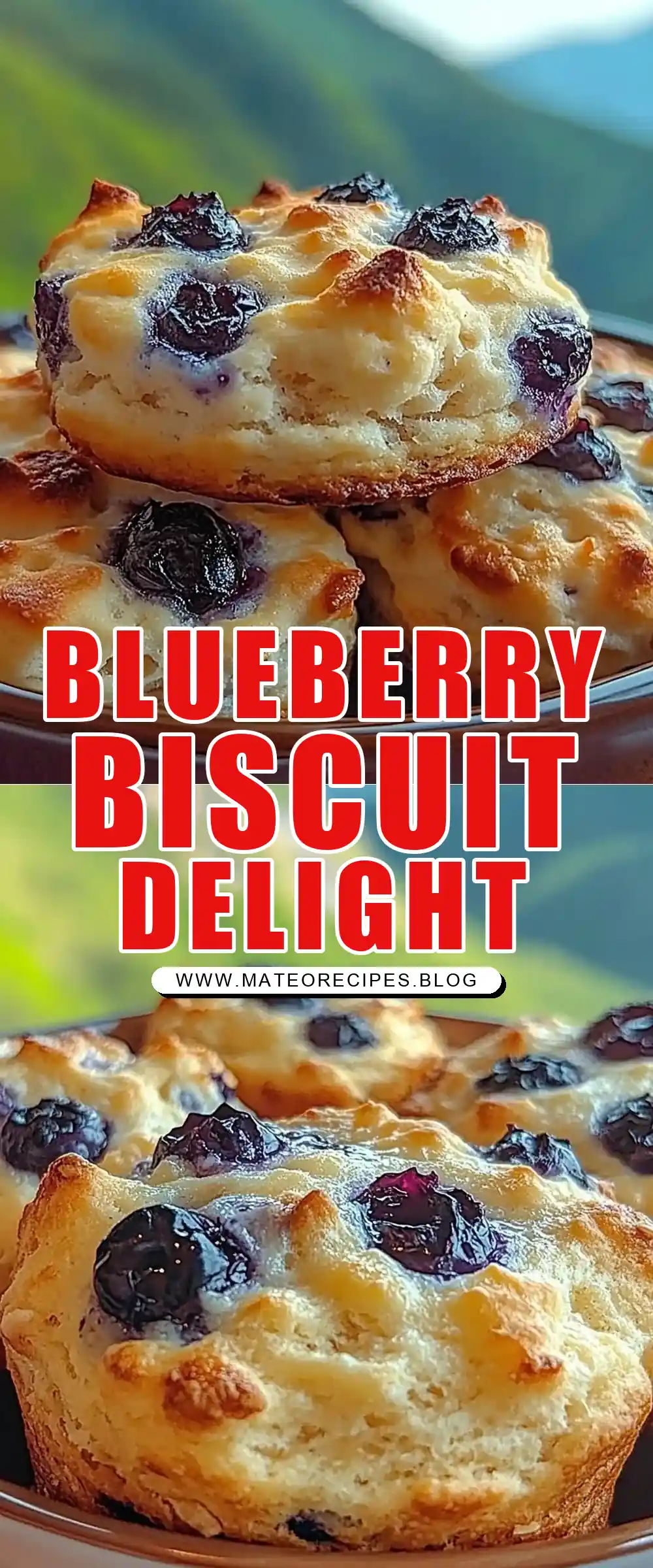 Pinterest pin (Design 1) for Sweet Blueberry Biscuits