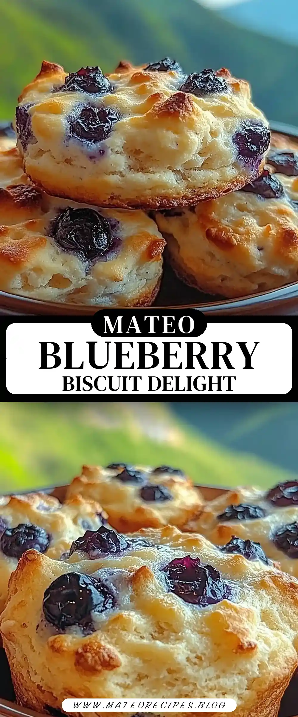 Pinterest pin (Design 3) for Sweet Blueberry Biscuits