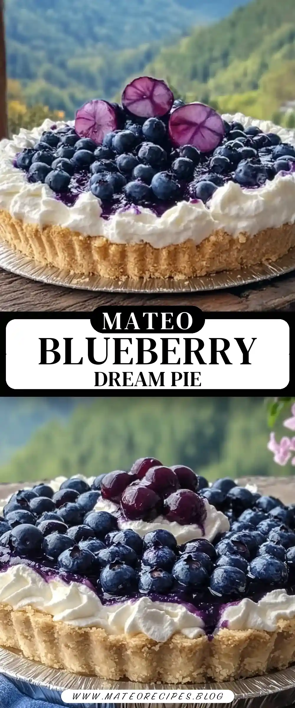 Pinterest pin (Design 3) for Blueberry Cream Pie 🫐