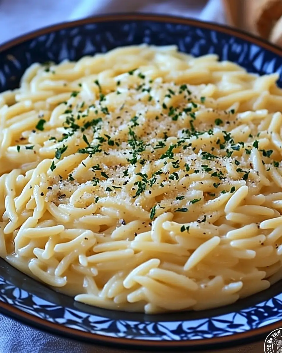 A delicious plate of Creamy Garlic Parmesan Orzo