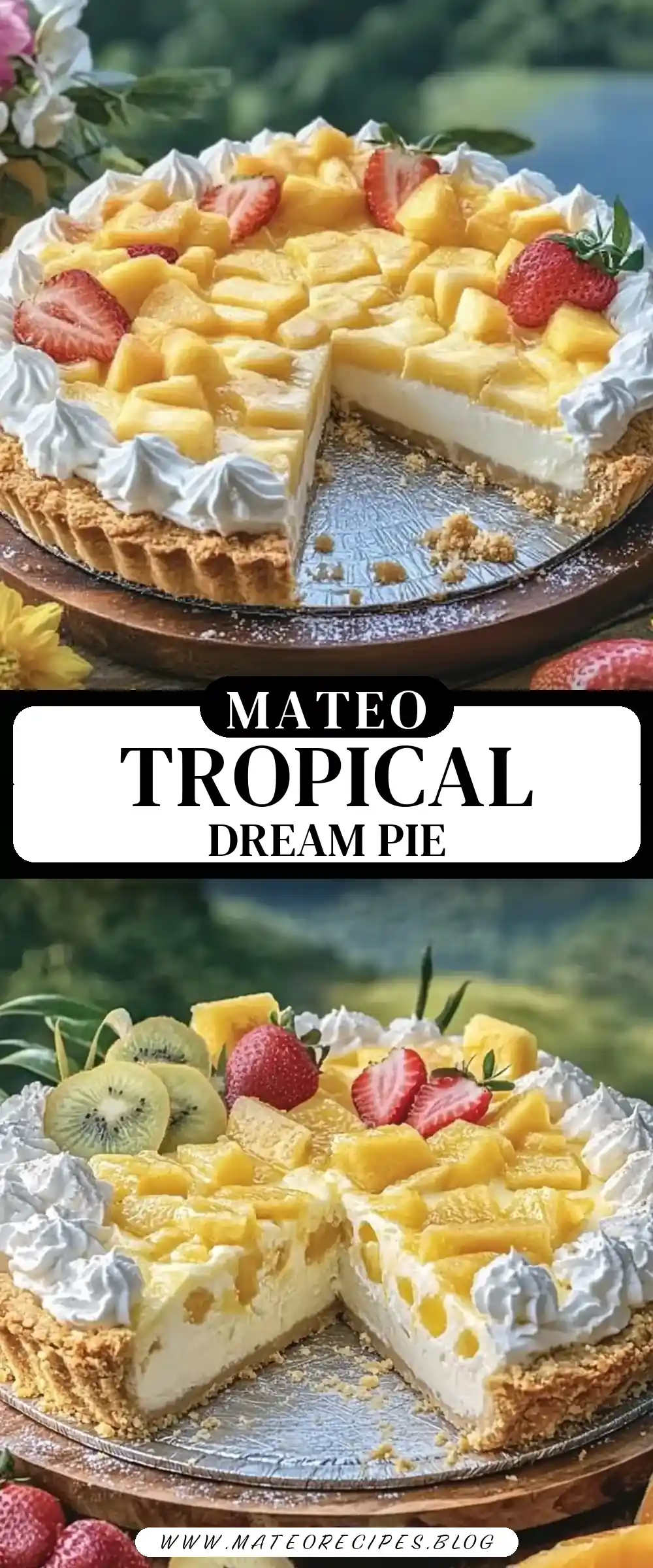 Pinterest pin (Design 3) for Tropical Fruit Dream Pie 🍍🥭