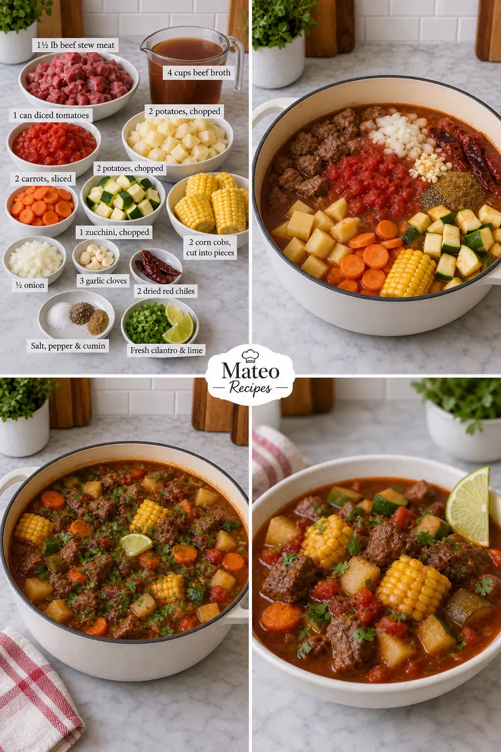 Mexican Beef & Vegetable Stew